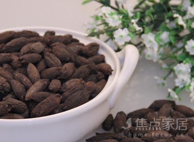 公丁香与母丁香的区别是?丁香4月婷图片