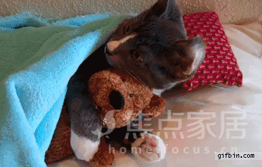 这就是困成狗的你!