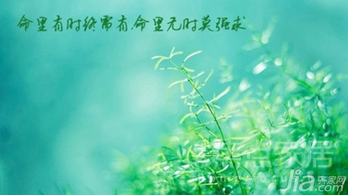 命里有时终须有 命里无时莫强求