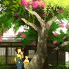 水晶之恋
