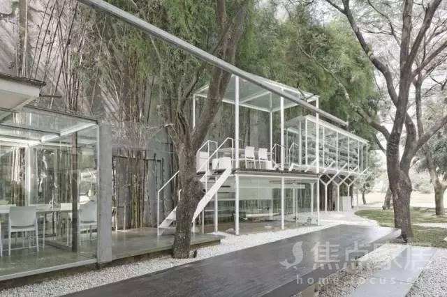 在森林里上班是什么样的体验?