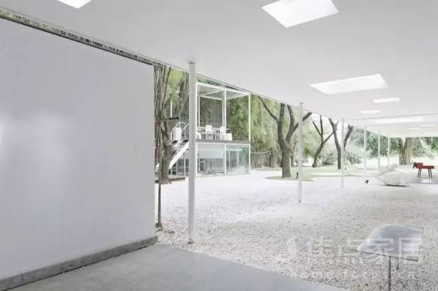 在森林里上班是什么样的体验?